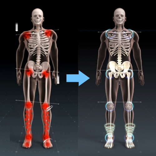 align the body from vibro orthotics insoles